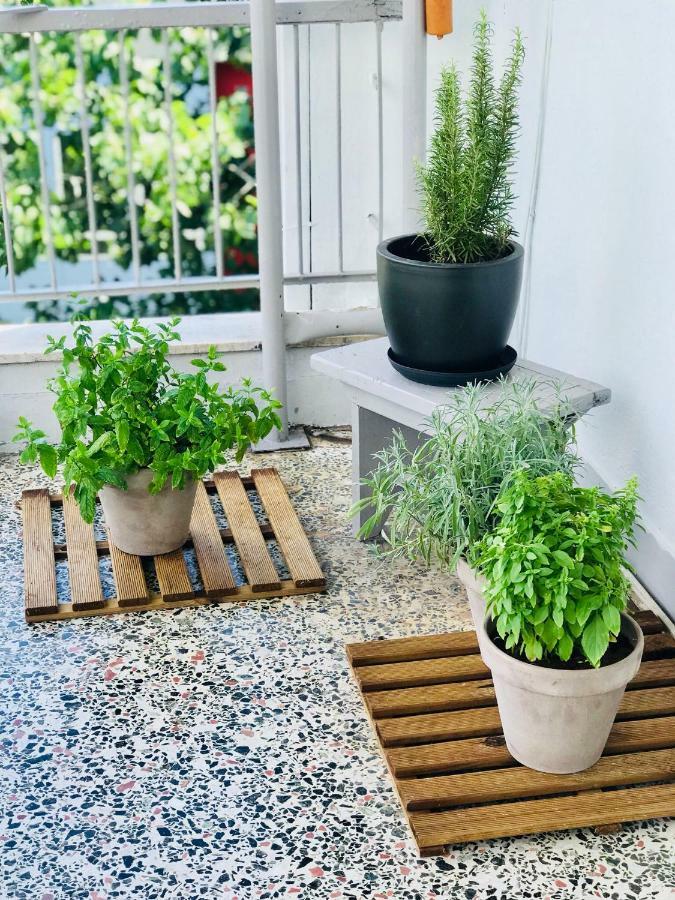 Comfy & Relaxing Apartment 테살로니키 외부 사진